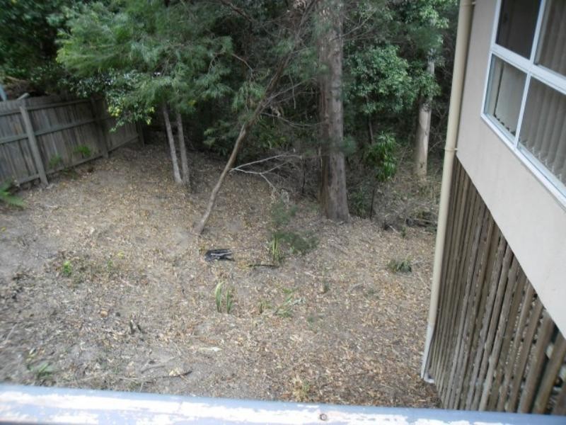 Shailer Park QLD 4128