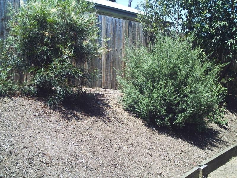 9 Simveesh St, Calamvale QLD 4116