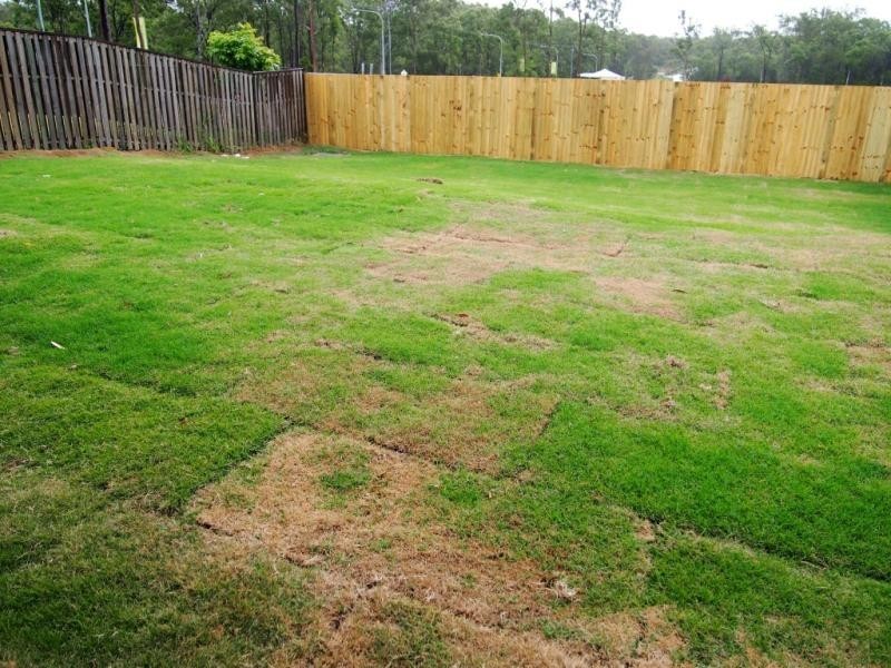 117 Grand Tce, Waterford QLD 4133