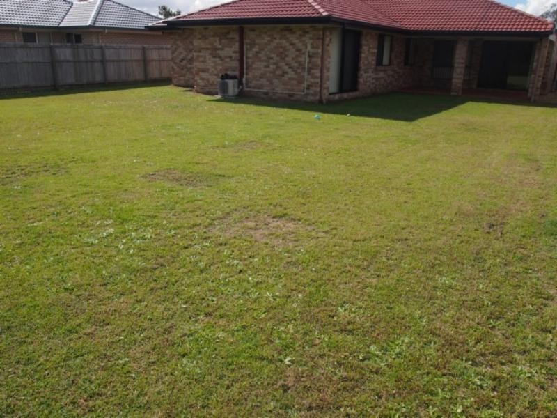 14 Kanangra  Pl, Parkinson QLD 4115