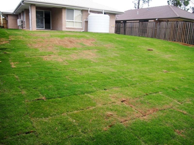 117 Grand Tce, Waterford QLD 4133