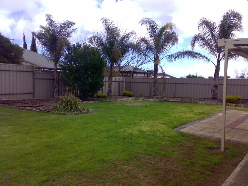 81 Mawson Cct, Woodcroft SA 5162