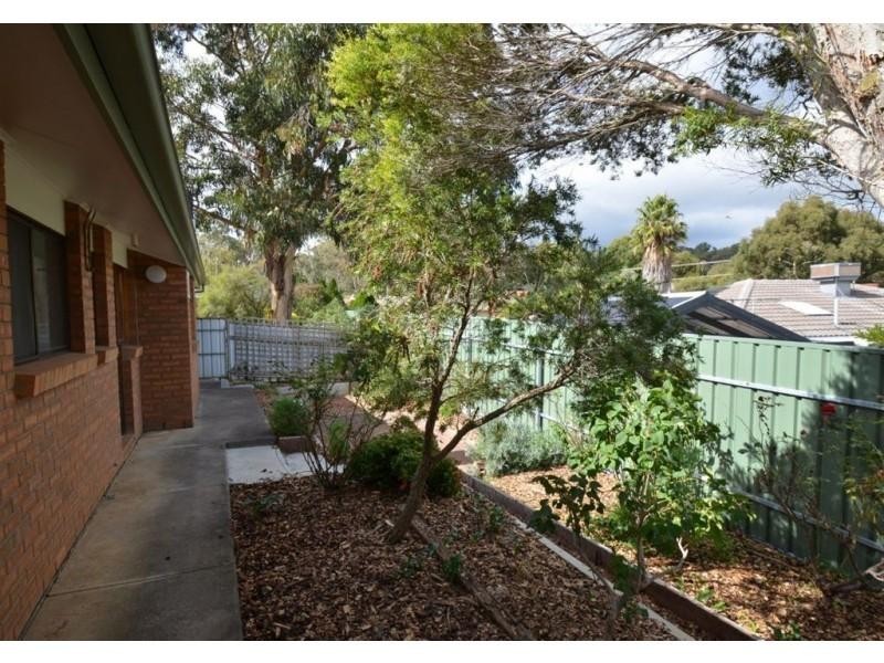 3 Anita Ct, Aberfoyle Park SA 5159
