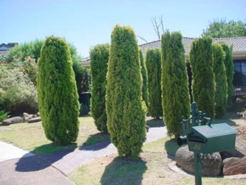 13 Hele Cres, Trott Park SA 5158