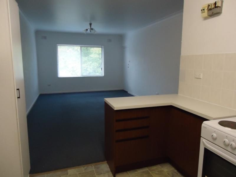 8/302 Young  St, Wayville SA 5034