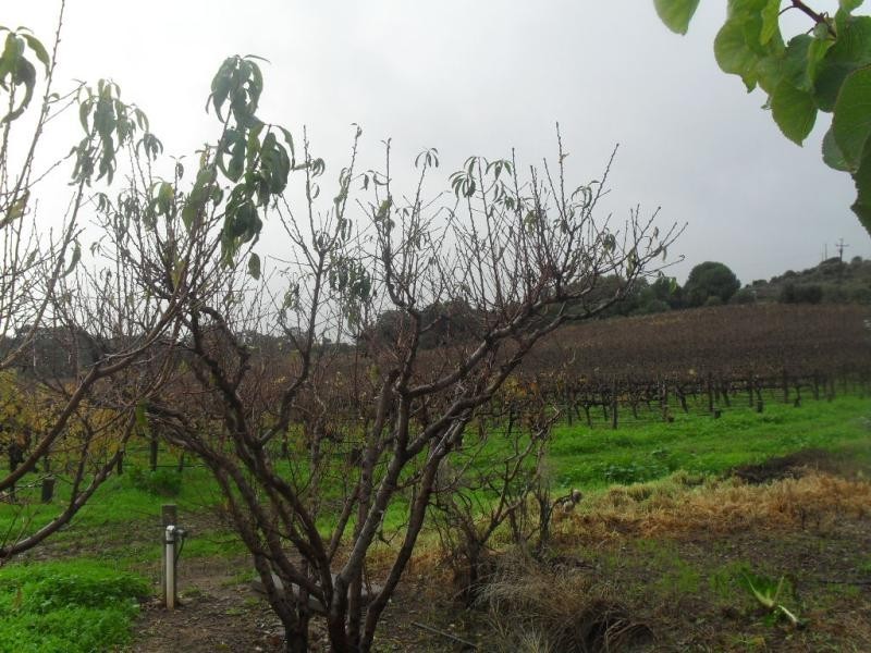 Lot 54 Edwards Rd, Willunga SA 5172