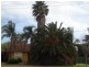 716 Marion Rd, Marion SA 5043