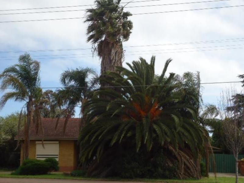 716 Marion Rd, Marion SA 5043