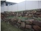 3 Conlan  Ct, Oxenford QLD 4210
