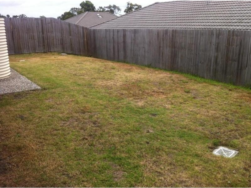 38 Reardon St, Calamvale QLD 4116