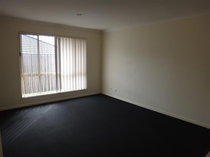 41 Filbert  St, Upper Coomera QLD 4209