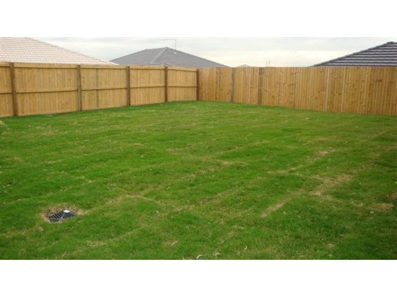 22A Gumtree  Cct, Upper Coomera QLD 4209