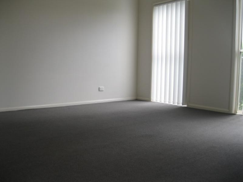 17 Jackson St, Coomera QLD 4209