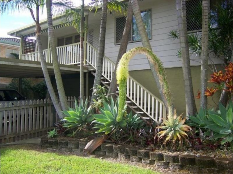 19 Clifton St, Biggera Waters QLD 4216