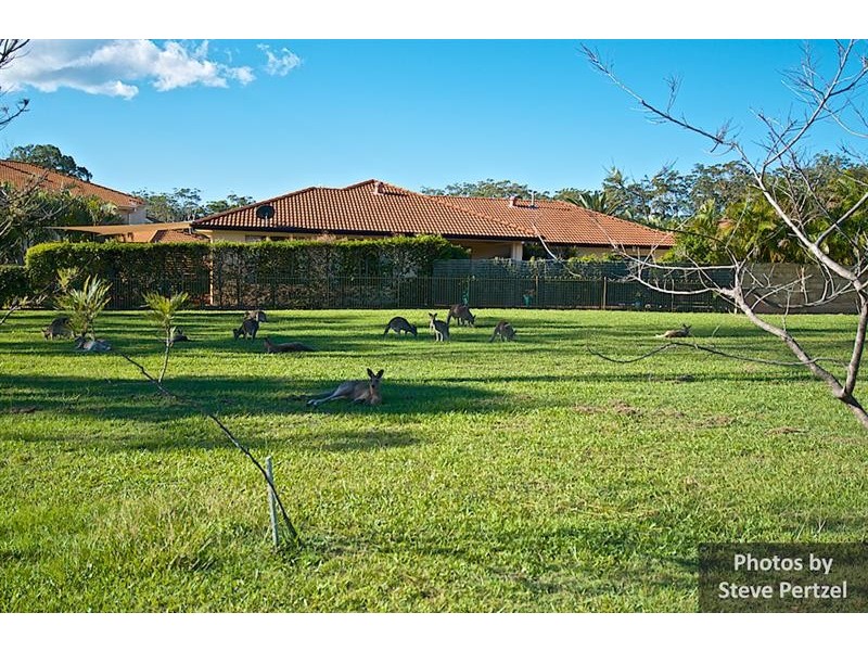 13 Midhurst Ct, Arundel QLD 4214