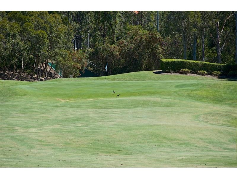 16 Waterwood Ct, Arundel QLD 4214