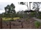 36 Sanctuary Pkwy, Waterford QLD 4133