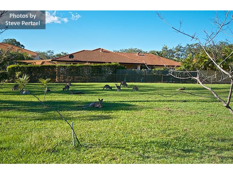 13 Midhurst Ct, Arundel QLD 4214