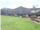 64 Newport  Pde, Blacks Beach QLD 4740