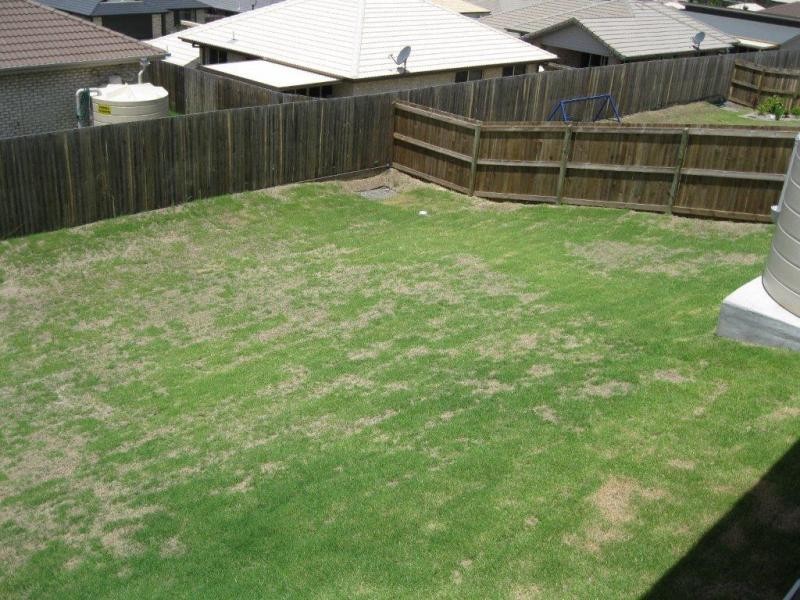 13 Sovereign  Cl, Brassall QLD 4305