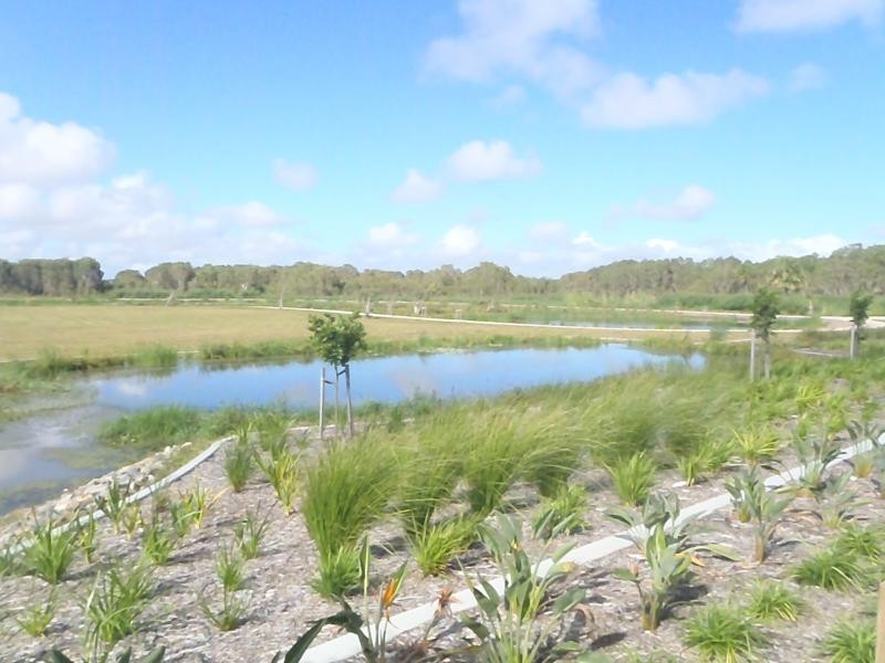 8 Scarborough  Cct, Blacks Beach QLD 4740