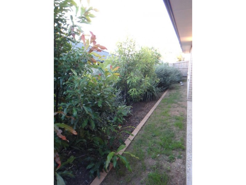 71 Park Edge Dr, Springfield Lakes QLD 4300