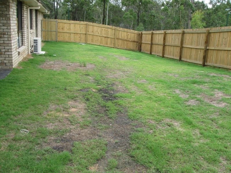 58 McCorry  Dr, Collingwood Park QLD 4301