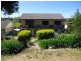 41 Warrawong St, Wagga Wagga NSW 2650