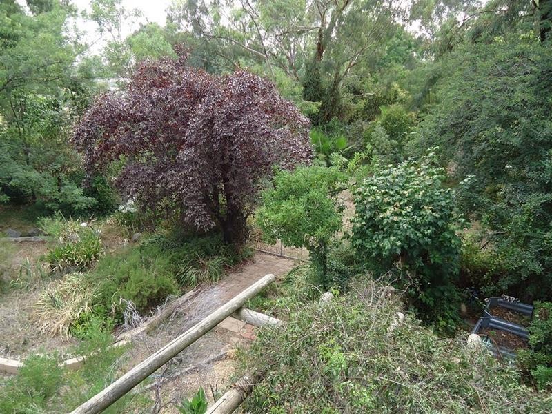 109 Lake Albert Rd, Wagga Wagga NSW 2650