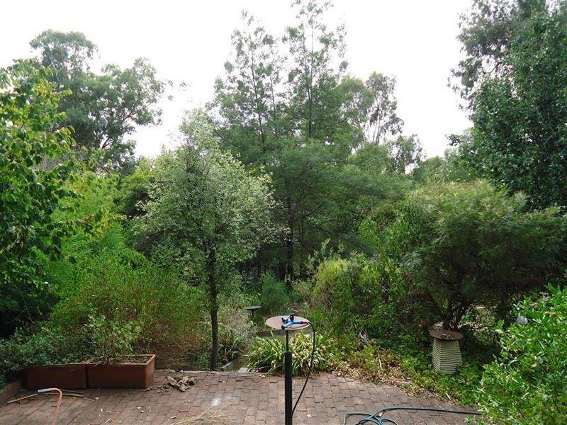 109 Lake Albert Rd, Wagga Wagga NSW 2650