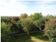 41 Amaroo St, Wagga Wagga NSW 2650