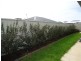 33 Clifton St, Bourkelands NSW 2650