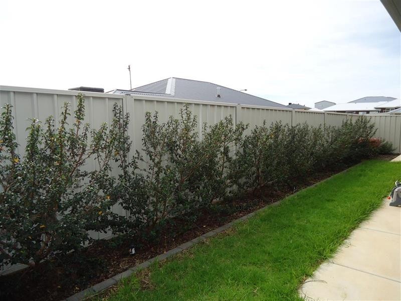 33 Clifton St, Bourkelands NSW 2650