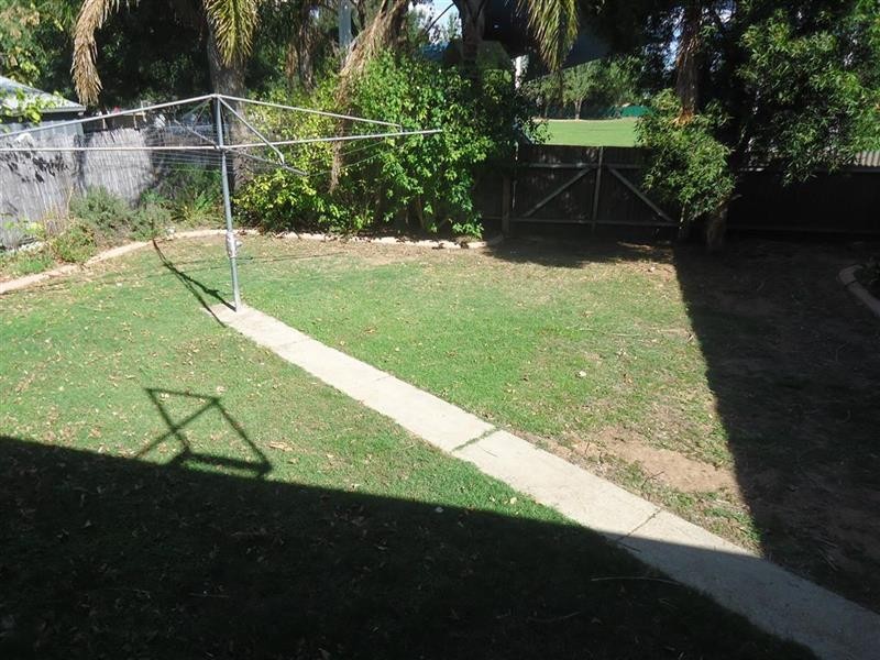 55 White Ave, Kooringal NSW 2650