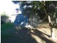 23 Trevor St, Turvey Park NSW 2650
