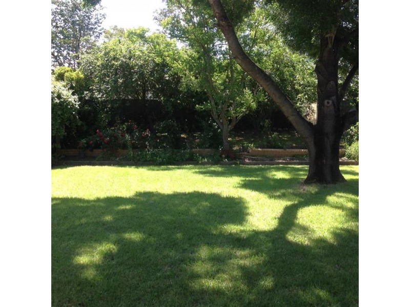 52 Plumpton Rd, Tatton NSW 2650