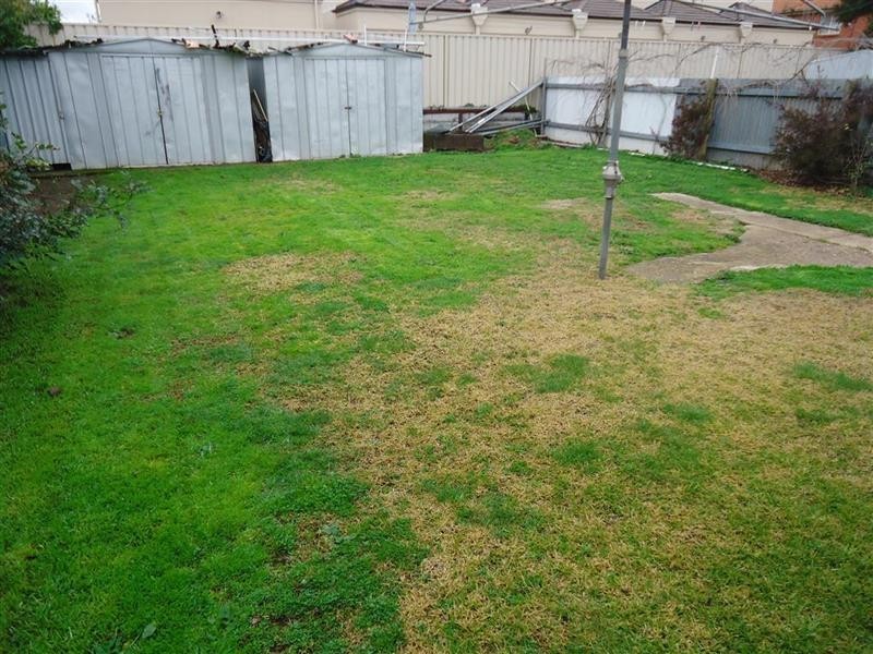 113 Trail St, Wagga Wagga NSW 2650