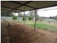 55 Galore St, Lockhart NSW 2656