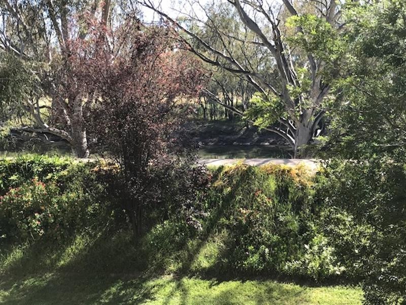 8/115 Tarcutta  St, Wagga Wagga NSW 2650