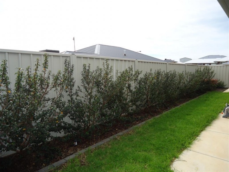 33 Clifton Street, Bourkelands NSW 2650