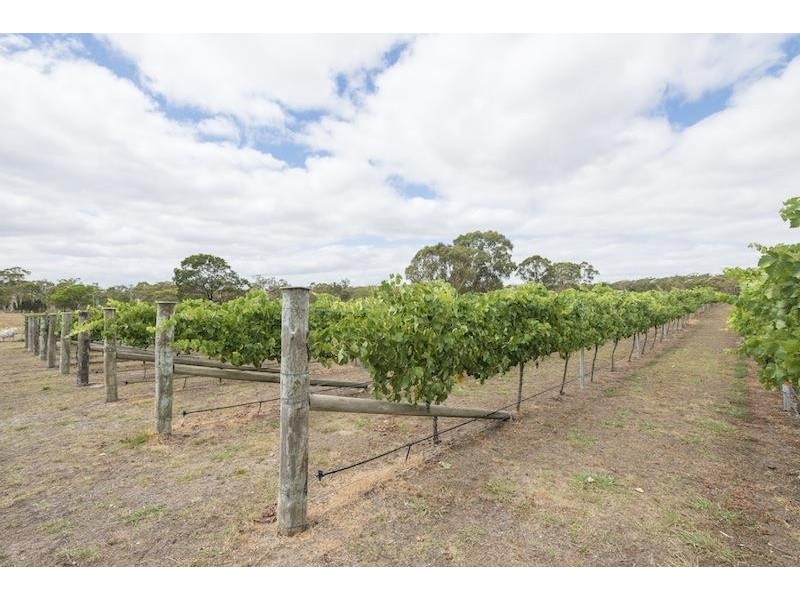 Canyonleigh NSW 2577