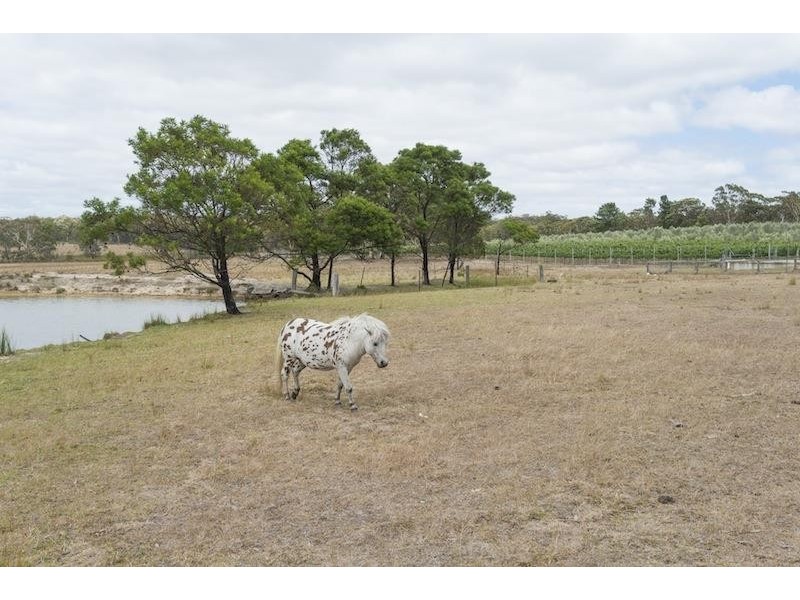 Canyonleigh NSW 2577