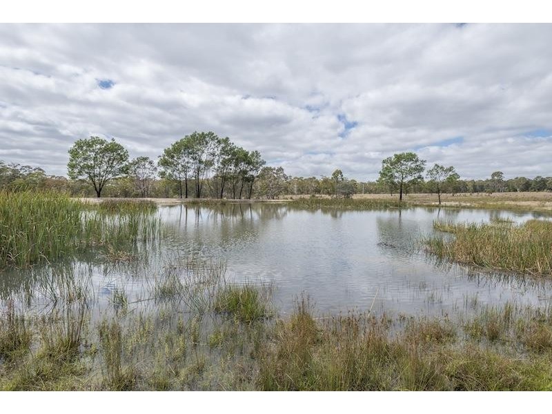 Canyonleigh NSW 2577