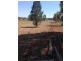 10 Galway Ave, Gunnedah NSW 2380