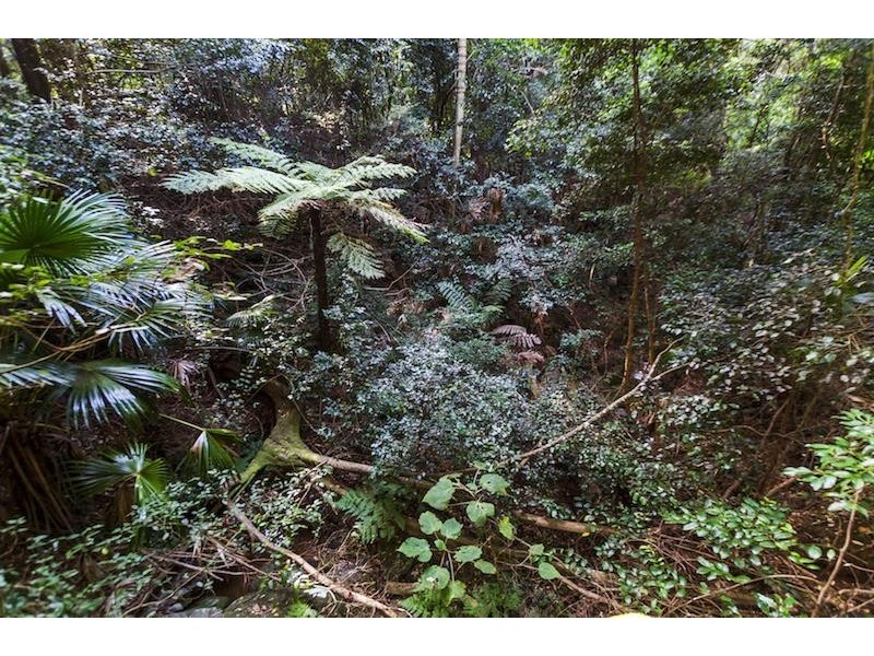 123 Lakeview Rd, Albion Park NSW 2527