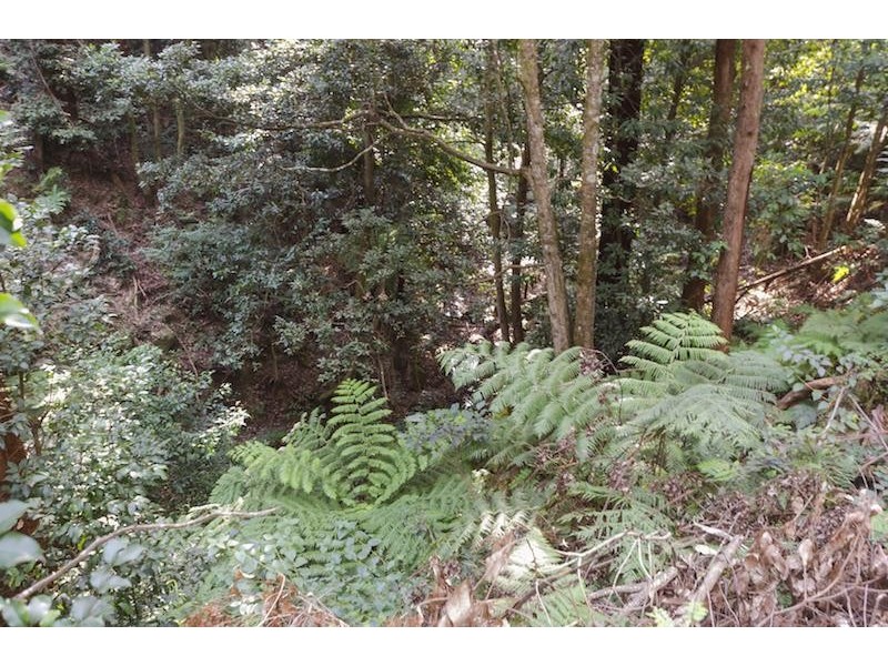 123 Lakeview Rd, Albion Park NSW 2527