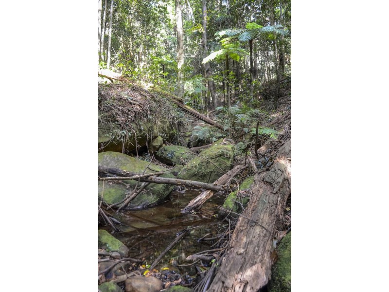 123 Lakeview Rd, Albion Park NSW 2527