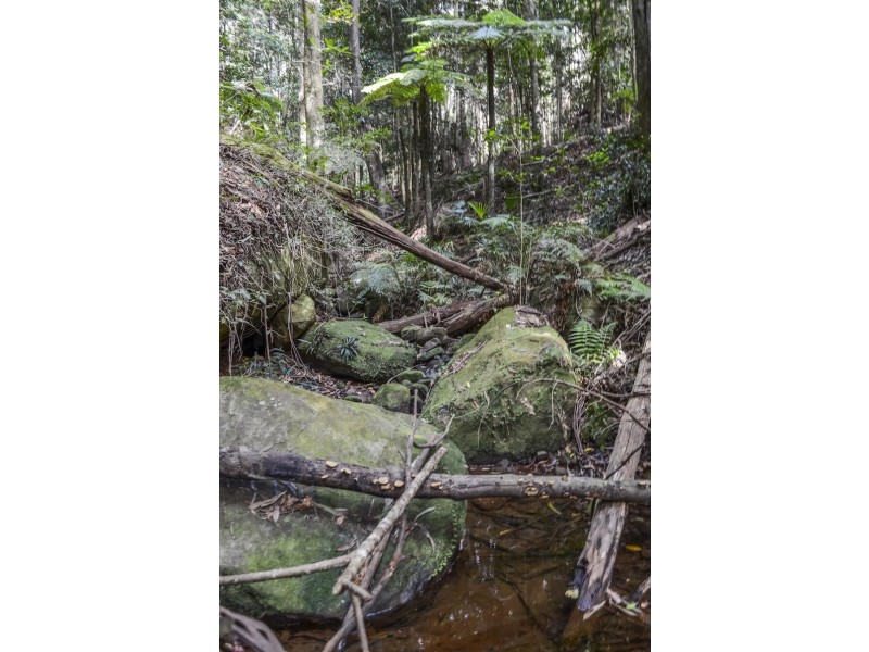 123 Lakeview Rd, Albion Park NSW 2527