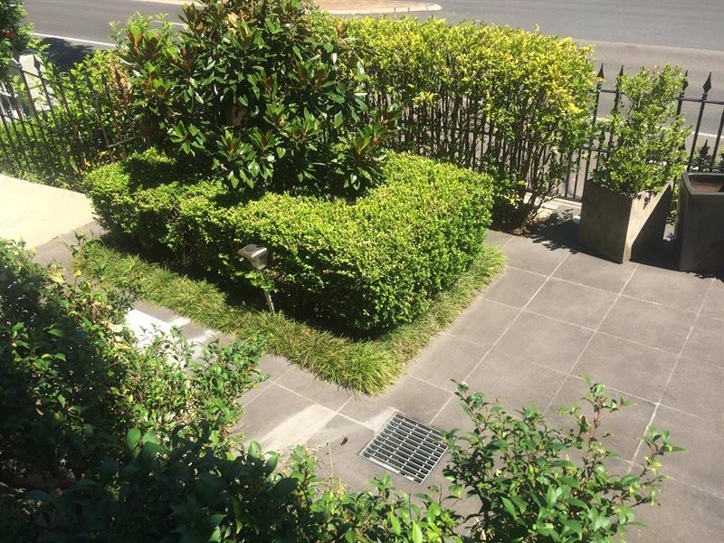 1/352 Moore Park Rd, Paddington NSW 2021