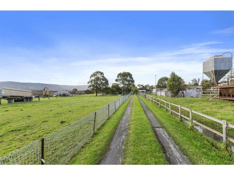 24b Avondale Rd, Avondale NSW 2530